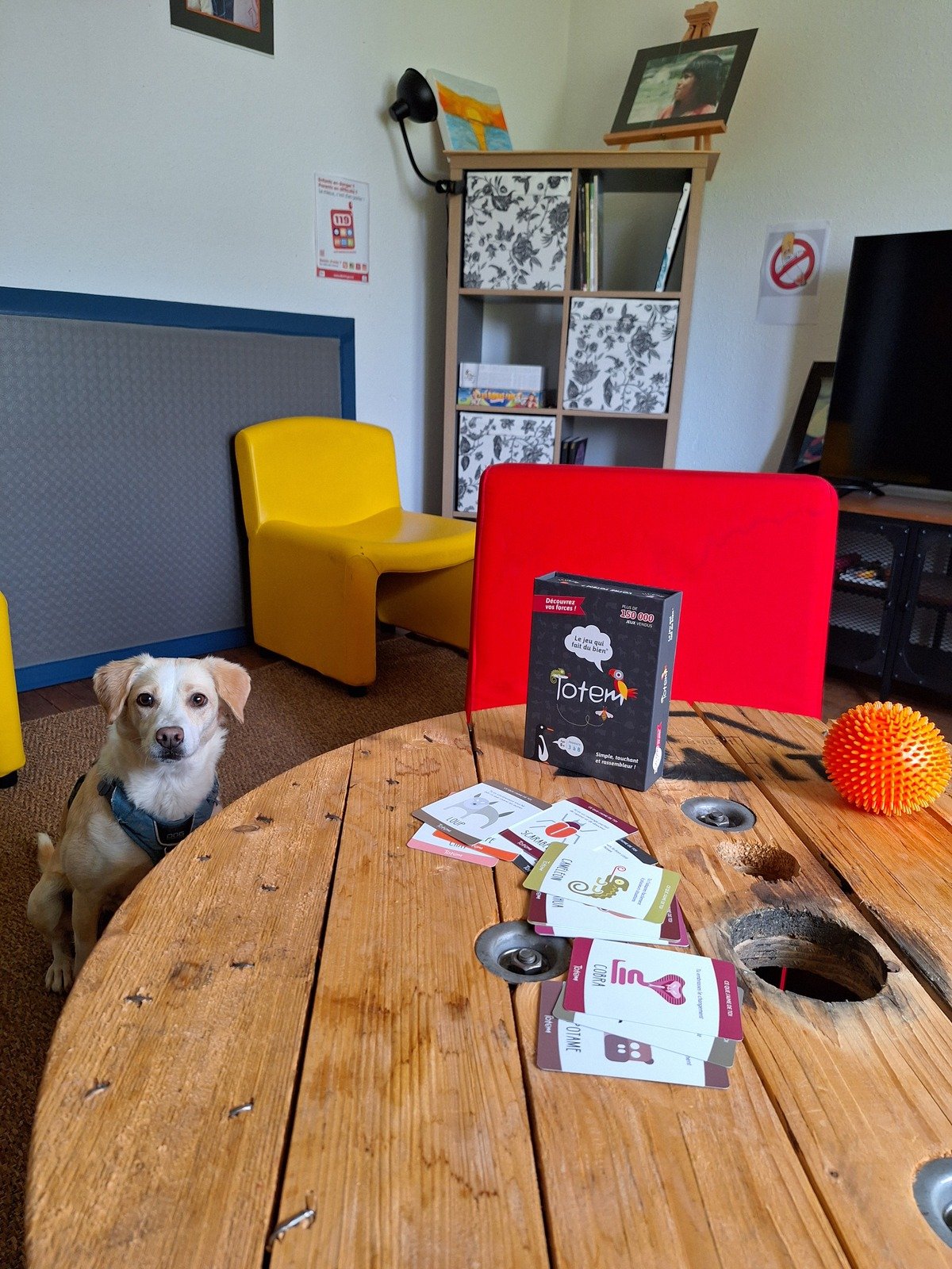 Chien médiateur dans un espace de séance avec jeux et supports.