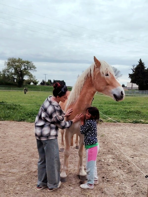 Séance de médiation avec un cheval.